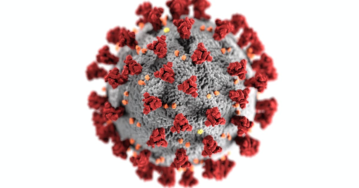 Coronavirus kan een MAAND overleven op bankbiljetten en telefoonschermen